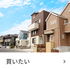 買いたい